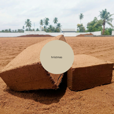 Home coir pith brickfor website