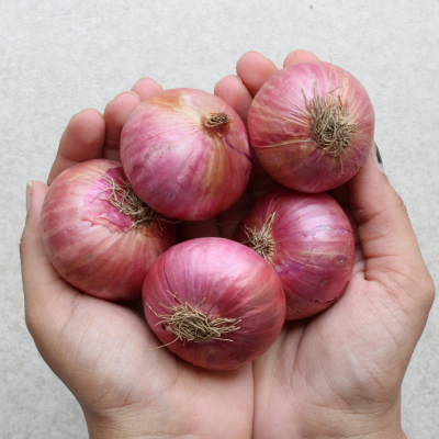 Home onion for website