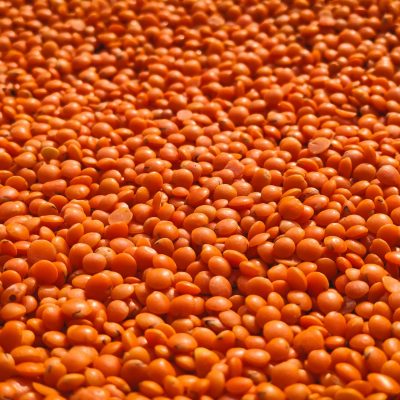 Close-up view of vivid orange lentils creating a textured, rich earthy background.